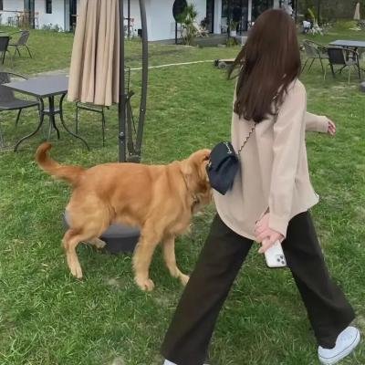 心灵迷雾
